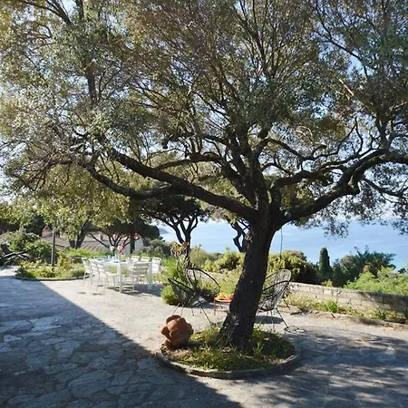 3 Climatisee Avec Piscine 250m De Gigaro Wifi Villa *